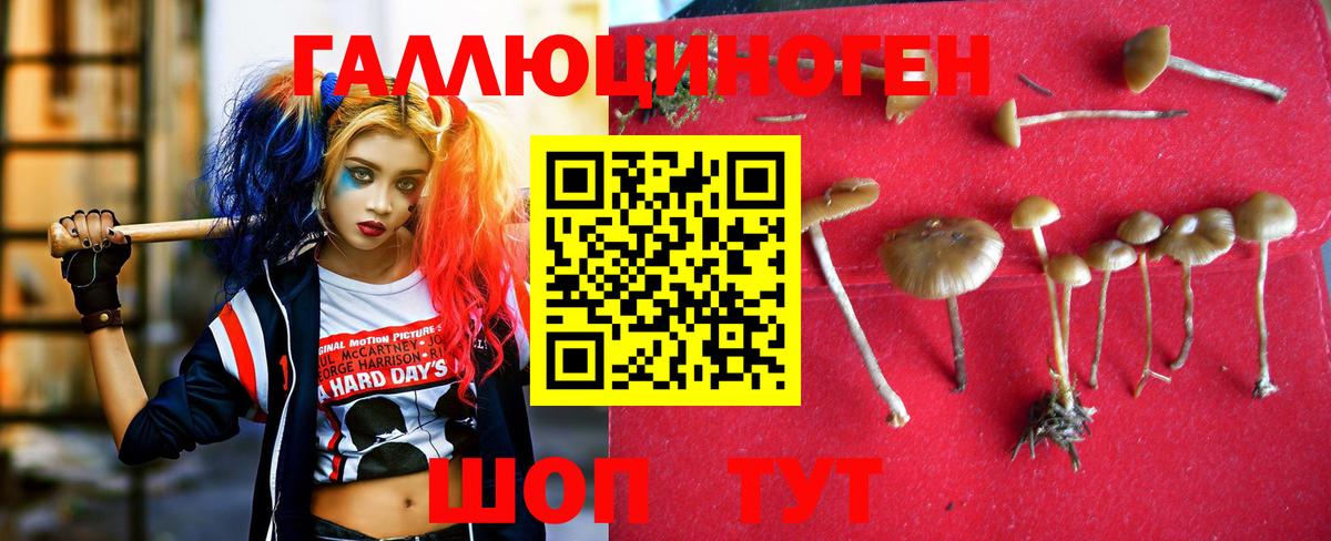 Галлюциногенные грибы Magic Shrooms Грозный