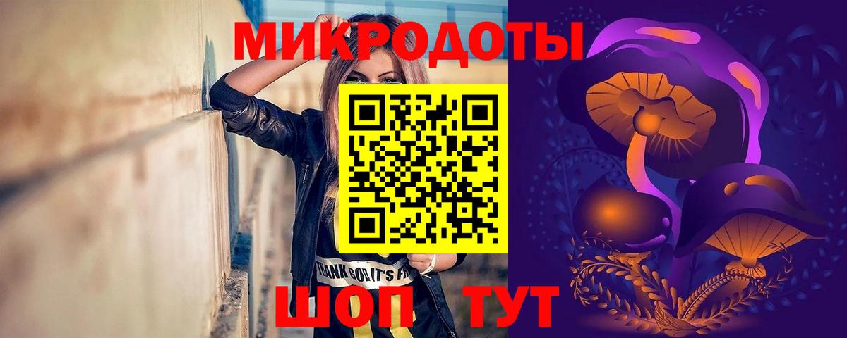 где продают   Псилоцибиновые грибы Psilocybe  Вход с VPN  Грозный 